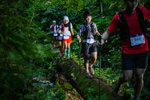 BIB: 9071
                            <button type="button" onclick="openModal(18922032)" class="btn btn-primary btn-sm float-right btn-popup" data-toggle="modal" data-target=".modal-high-quality">
                        <i class="fas fa-shopping-cart"></i> Add to Cart
                    </button>
                                            <button type="button" onclick="isThisMe(18922032, true)" class="btn btn-success btn-sm float-right btn-popup btn-isme hidden" data-toggle="tooltip" data-placement="bottom" title="นี่คือรูปของคุณใช่ไหม คลิกที่นี่เพื่อเอาเข้าอัลบั้ม">
                        <i class="fas fa-plus"></i> Add to album
                    </button>
                    <button type="button" onclick="isThisMe(18922032, false)" class="btn btn-warning btn-sm float-right btn-popup btn-isnotme hidden">
                        <i class="fas fa-ban"></i> Remove from album
                    </button>